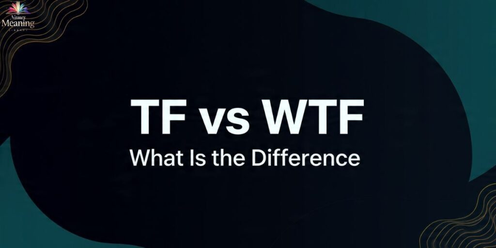 TF vs WTF What Is the Difference