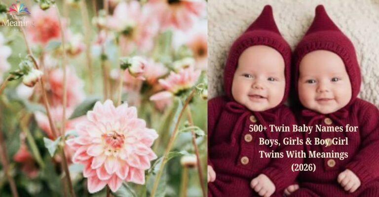 500+ Twin Baby Names for Boys, Girls & Boy Girl Twins With Meanings (2026) (2)