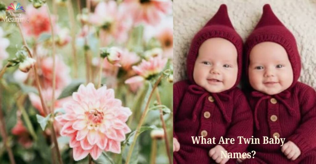 What Are Twin Baby Names?