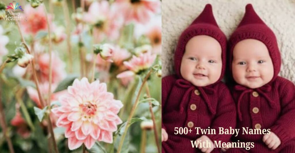 500+ Twin Baby Names With Meanings