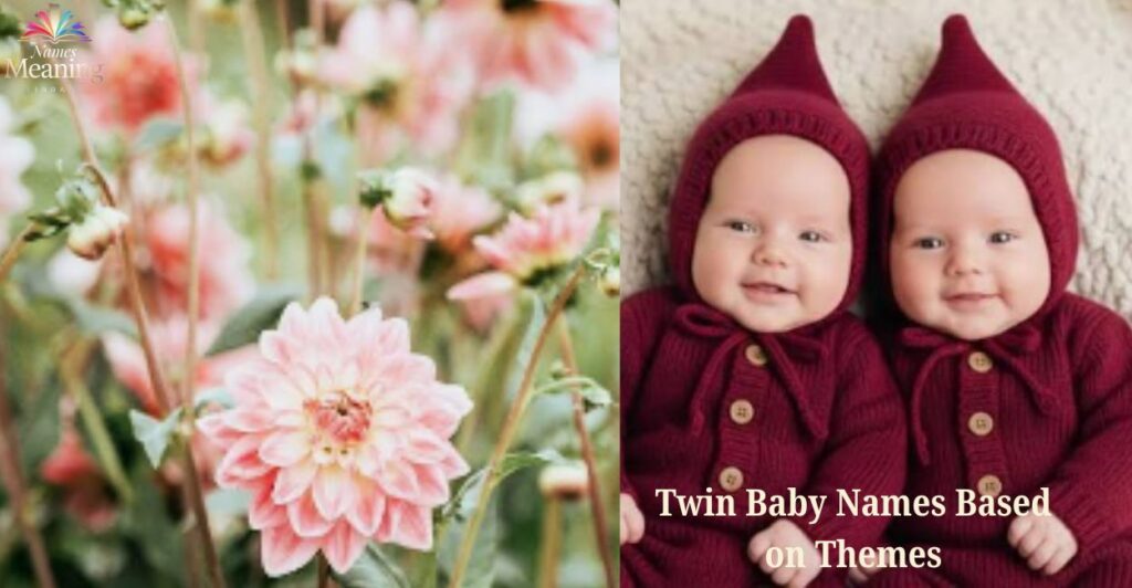 Twin Baby Names Based on Themes