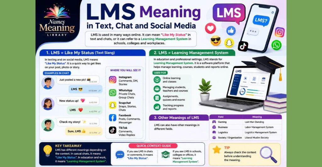 LMS Meaning in Text, Chat and Social Media